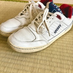 Sperry Top-Sider コラボスニーカー