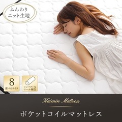 値下げ可！シングルマットレス／ファミーテ／厚さ14cmの画像