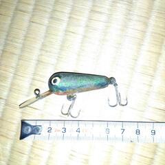 ズイール　チマチマの画像