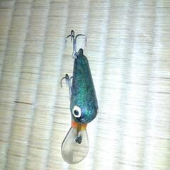 ズイール　チマチマの画像