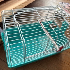 小動物、バードキャリー