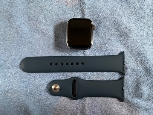 Apple watch 8 ステンレスsilver