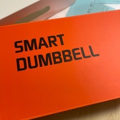SMART DUMBBELL（0.5kg）の画像