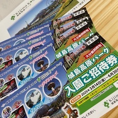 城島高原パーク入園後招待券