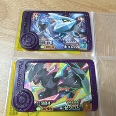 ポケモンフレンダゼクロム＆キュレム