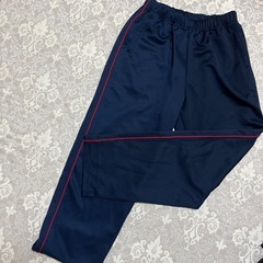 【再値下げ！】中学生　学校ジャージ　上下セット　Ｌサイズの画像
