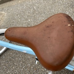 
20インチライトブルー変速付き子供用自転車の画像