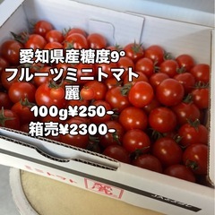 愛知県産🍅フルーツミニトマト麗入荷しました！✨