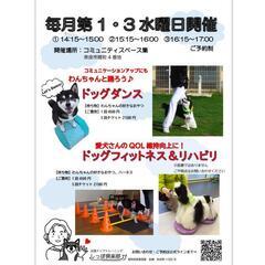愛犬さんと一緒に『ドッグダンス』してみませんか？