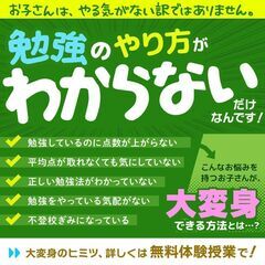 【堺市東区】家庭教師のわっふる（株式会社HAKU）勉強が大っ嫌いな子専門の家庭教師｜27143の画像