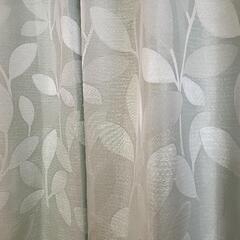 ♢グリーン　リーフカーテンの画像
