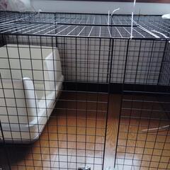 猫用品の画像