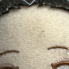 A2504-007 鬼滅の刃 厭夢・伊之助・胡蝶しのぶ  ぬいぐるみ 汚れあり バラ売り不可の画像