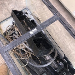 水槽の画像