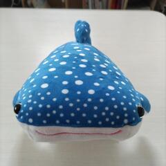 ジンベエザメぬいぐるみの画像