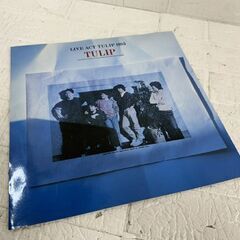 TURIP LIVE ツアーパンフレット 3冊セット 1982 1983 1985 I LIKE Party 財津和夫 チューリップ ライブ記念写真集 現状 札幌市 白石区 東札幌の画像