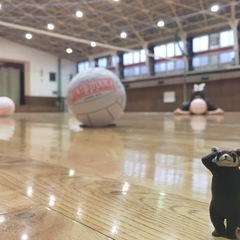 一緒にミニバレーしませんか？