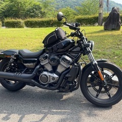 ハーレーダビットソン　2023年ナイトスターRH975  ※6/7値下げ！  の画像