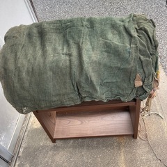 緑 蚊帳