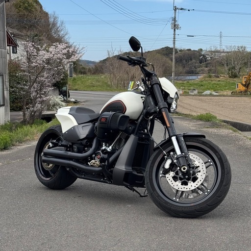 ハーレーダビットソン　DXDR114 FXDRS