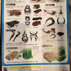 【カブト＆クワガタ】ペーパークラフトの画像