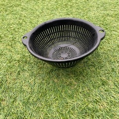 メダカボウルの画像