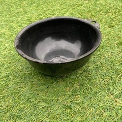 メダカボウルの画像