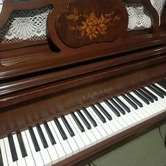 ピアノレッスン始めませんか？