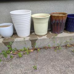 5個セット植木鉢