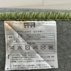 ニトリ　アクセントラグの画像