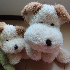 ぬいぐるみ６点セット　犬、カエル、ウサギ、ヒルナンデス君の画像