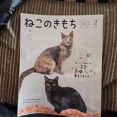 ねこのきもち2月号