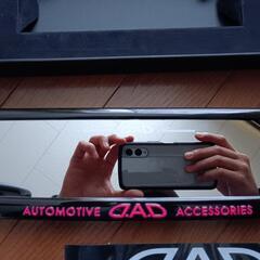 今日限定2000円DADルームミラー