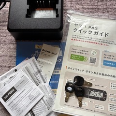 YAMAHA PAS CITY-X マットグレイッシュベージュ20の画像