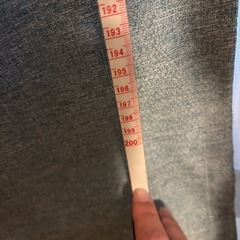 カーテン、レース(高さ220cm)の画像