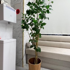 【お譲り予定先決定しています】観葉植物 フェイクグリーン 造花 ...
