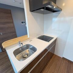 ❤️‍🩹敷金なし・礼金なし・ネット使用料なし・仲介手数料なし❤️‍🩹～築浅未入居マンション～ペット飼育可（大型犬・猫 多頭飼いOK）～全室南向き～３沿線３駅利用で通勤通学に便利なお部屋🎵1001 − 東京都