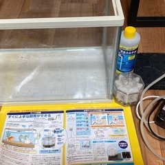水槽、エアポンプ、カルキ抜き　まとめて
