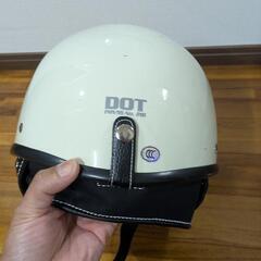 ノーブランドのポリヘルの画像