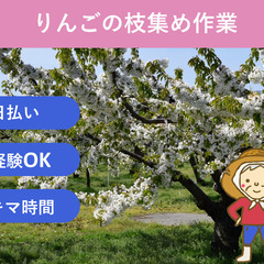 ＼日払い・1日OK！／若い力大歓迎！りんご枝切り作業