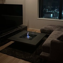 EcoSmart Fire エコスマートファイヤーバイオエタノール暖炉