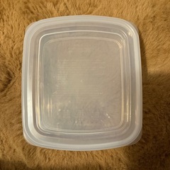 100均 タッパー