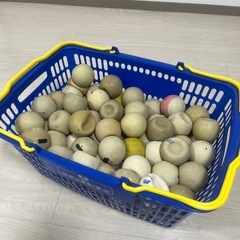 ソフトテニスボール