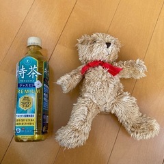 テディベア　ぬいぐるみ　人気の画像