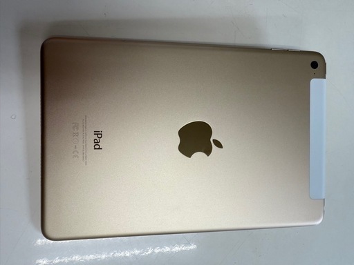 iPad mini4
