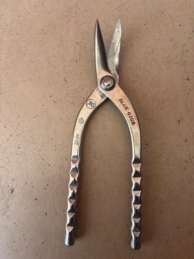 ブルーギガ　直徳