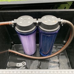楽天市場】メダカ 乳酸菌の通販