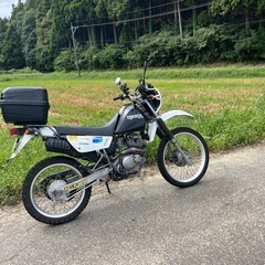 ジェベル200 