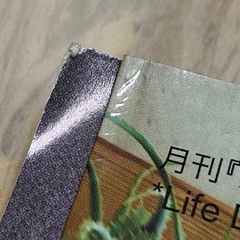 月刊『カーサ　ブルータス』リノベ&DIYの最新スタイルブックの画像