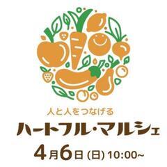 びんちゃんメダカ】びんびん乳酸菌！500ml 10本セット‼️ (びん